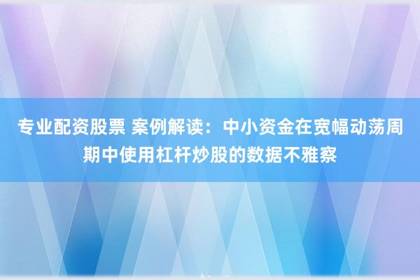 专业配资股票 案例解读:中小资金在宽幅动荡周期中使用杠杆炒股的数据不雅察